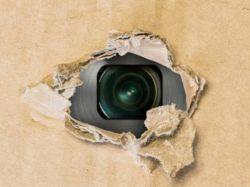 Не только налоги: за что еще собственник, который сдает квартиру, может попасть под суд