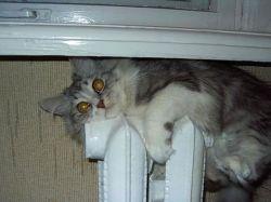 Россиянам предложили платить за ЖКХ по-новому: вмешался климатический фактор