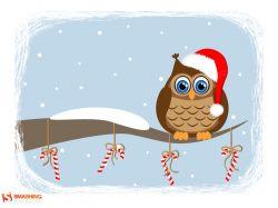 Какие законы о недвижимости заработают в декабре 2023 года