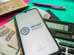 Самозанятым предложили запретить работать с юрлицами и ИП