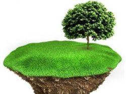 «Это же просто кусок земли!» Почему всякая недвижимость требует присмотра: история из жизни