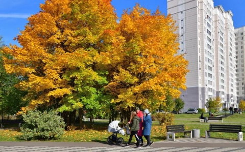 Как выгодно купить жилье без льготной ипотеки: доступные варианты