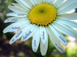 7 причин, почему клиенты вас не любят