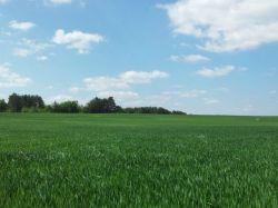 Сельхозземли предложат дачникам и фермерам