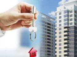Советы начинающим рантье: реально ли сдать квартиру сразу после сдачи новостройки?