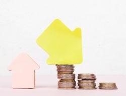 «Пузырь» льготной ипотеки грозит России полноценным финансовым кризисом