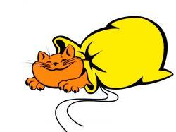 Выбираем квартиру на вторичке: как не купить кота в мешке