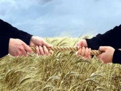 Росреестр претендует на право менять границы: законопроект прошел первое чтение в Госдуме РФ