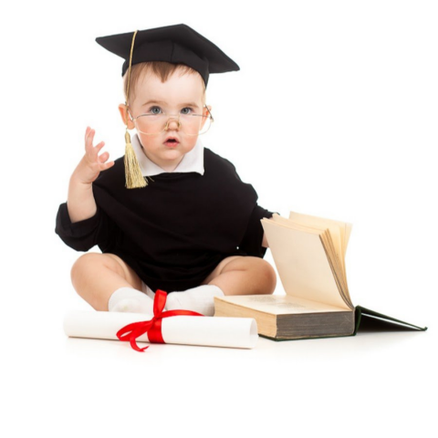 Учебный год близко: Как направить маткапитал на образование ребенка