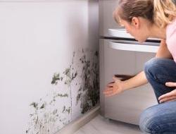 Галя, у нас отмена! Можно ли вернуть деньги за квартиру из-за скрытых недостатков?