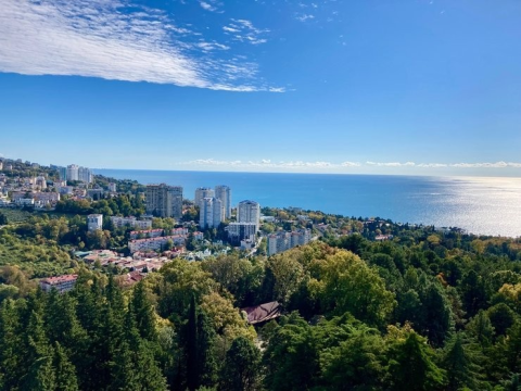 Сочи по спросу на аренду заметно опережает другие туристические направления