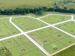 В реестрах земельных участков нашли несовпадения