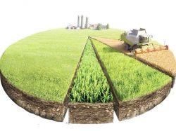 Бесплатная земля от государства: кому положена и как ее получить?