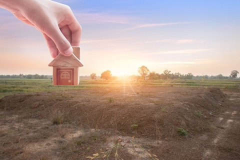 Семьям предложили выдавать бесплатные участки после 10 лет брака