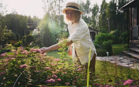 5 нюансов, которые стоит учесть при аренде дачи на лето