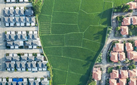 Какие земельные участки лучше не покупать