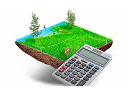 Что такое кадастровая и рыночная стоимости земельного участка?