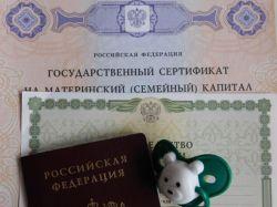 В России предложили сделать бессрочной программу маткапитала