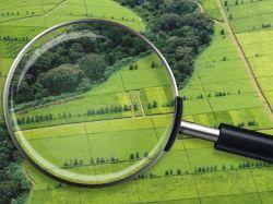 ВРИ или не ВРИ — вот в чем вопрос