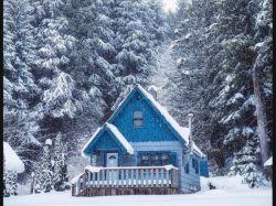 Желать дачи: в России хотят ввести новую льготу для пенсионеров