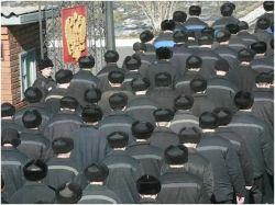 В ТПП рассказали о результатах эксперимента по привлечению заключенных на стройки